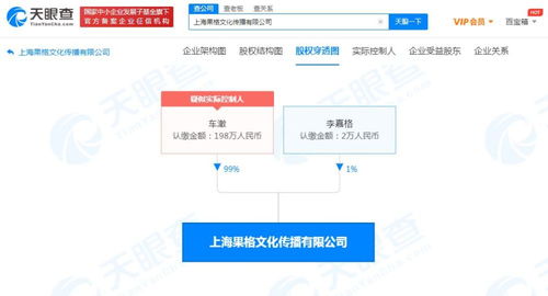 市場營銷策劃 戰略構建與執行的藝術